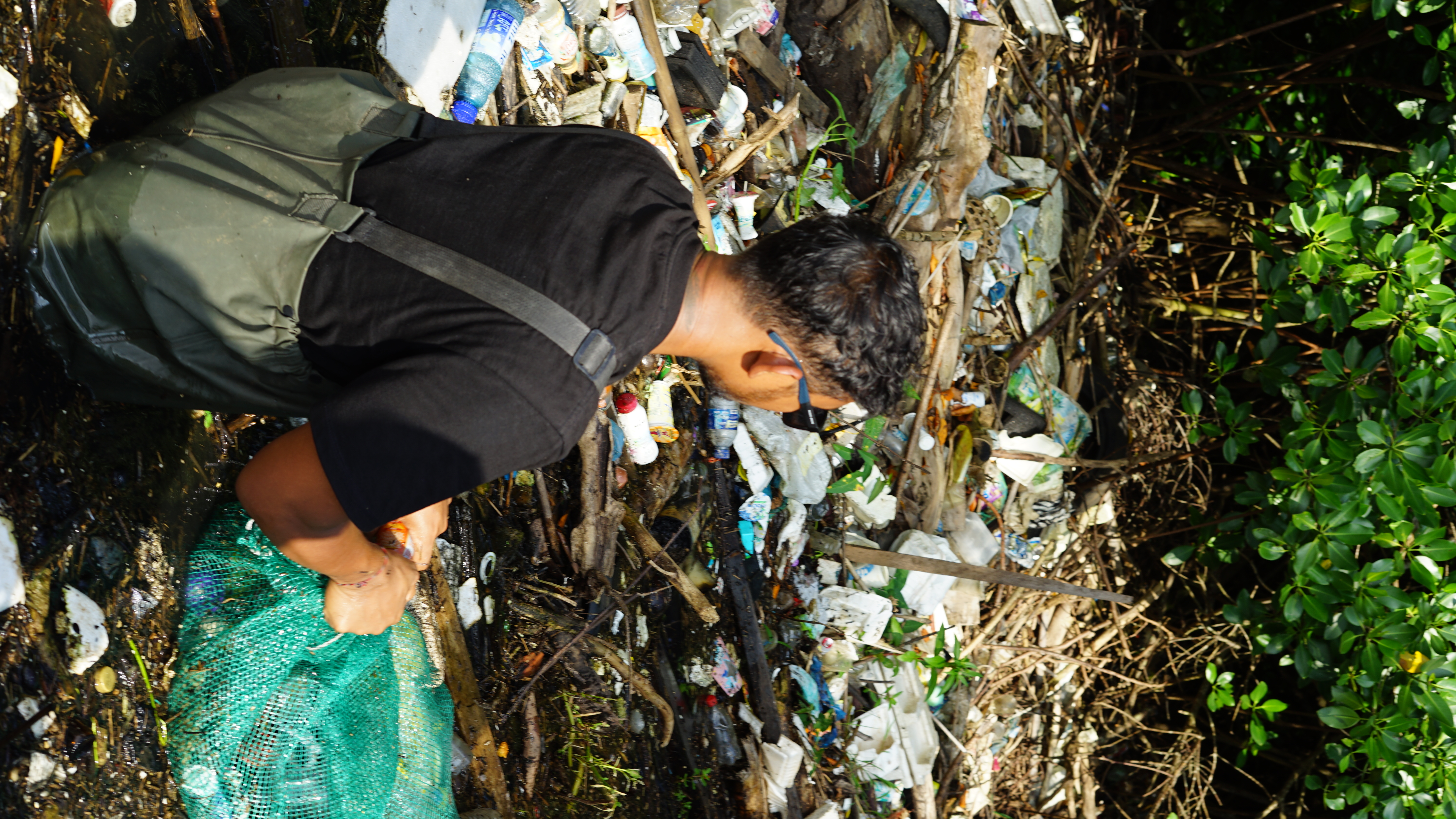 Manggrove Regular CleanUp